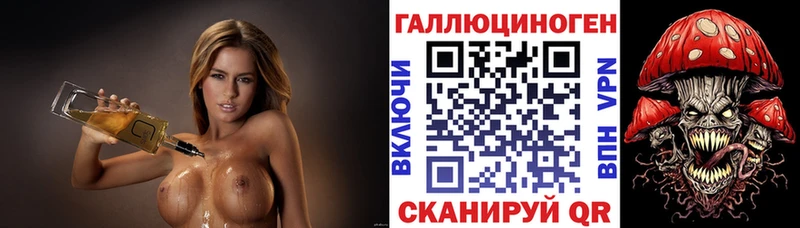 Купить  Енисейск  Галлюциногенные грибы Psilocybe 